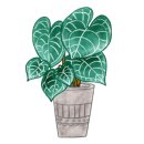 인천한별초등학교 이미지