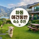 하동애견 | 하동 애견동반 숙소 펜션 추천 및 후기