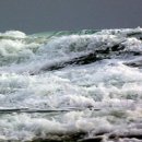 칼국수명가 이미지