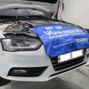 카오라모터스 이미지