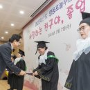 늘푸름 이미지