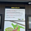 신생캠핑장, 노키즈캠핑장, 힐링하기좋은 2인 캠핑장 추천 / 팔공마루오토캠핑앤캠프닉 17번사이트 후기