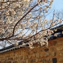 동춘당공원 맞은편 이미지