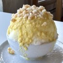 만첩 | 만첩 제주, 제주공항 근처 카페 추천 빙수맛집 내돈내산 후기