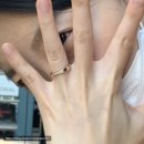 코이누르 웨딩밴드 조뤕! 당일계약 후기 💍