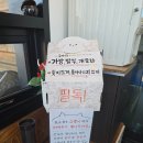 장보고당구장 | 반려견을 위한 소노펫 클럽앤리조트 비발디파크 1박2일 여행 다녀온 후기
