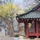 의사김응삼순절비 이미지