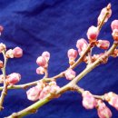 안산향교지 이미지