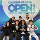 비스트주짓수세종