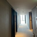 Ulsan Stay | [울산 숙소 추천] 신라스테이 울산 (Shilla Stay Ulsan)