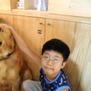 폴의골목 동물병원 이미지