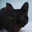 와니동물병원 이미지