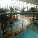 비발디파크오션월드 이미지