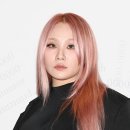 씨엘아이피 이미지