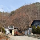 에프앤에프 | 🌲제천 에프앤에프 캠핑장 1박2일 후기