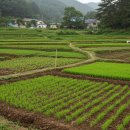 완전기초 명리학 이미지