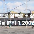 삼백로 이미지