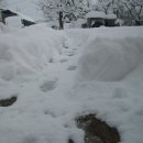 영암햇살농장 이미지