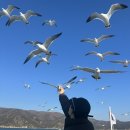 통영항약국 이미지