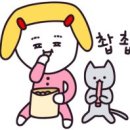 민동물병원 이미지