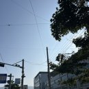 중부치과의원 이미지