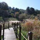 통영RCE세자트라센터 | 최초 RCE도시 통영