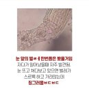 눈플러스안경원 이미지