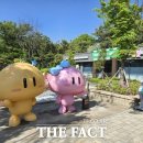 꿈돌이 이미지
