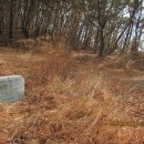 대교  마을회관 이미지