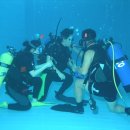 강릉수영장 이미지