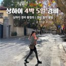 주식회사 위드랜드뷰티 | 중국 상하이 4박 5일 자유 여행 비용 총정리 디즈니랜드 포함 상하이 여행 경비 절약팁