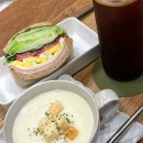 담트 이미지