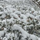 오쇼 하우스 이미지