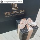 일랑일랑 | 방향제 그린독, 아이나비힙합독 실버크롬 구매후기 / 강아지방향제 클린코튼향 추천 / 청담프라그랑스