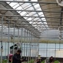 부영농원 이미지