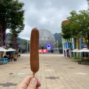 서울랜드 4년만의 방문기, 루나패스 이용방법🎈