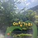 와우1리 | &lt;강원도 인제&gt; 여름 계곡 물놀이의 정수 - 아침가리 계곡 트레킹 후기