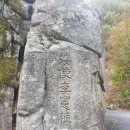 성수산 왕의숲 자연휴양림 이미지