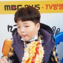 마시그래이 금호
