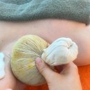 20에스테틱