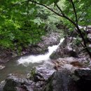 밀레군산영동점