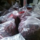 청결농장 이미지