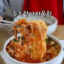 속초 청초호 아침 식사 속초항아리물회 포장 맛집 섭국 주차