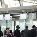 위너에코