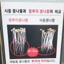 전주 콩뿌리 콩나물국밥 이미지