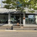 더봄애견 | 봄서재 | *내돈내산* 애견 동반 가능한 한적한 영종도카페☕