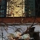 용두천로44길 이미지