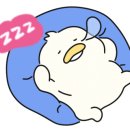 더다이어트 네이버블로그