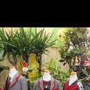 이루니유치원 이미지