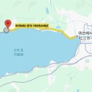 구절초 테마공원내2(중앙광장) | 마쓰에포겔파크 다녀온 후기, 영업시간, 입장료, 공연 시간, 가는 방법, 정보 총 정리